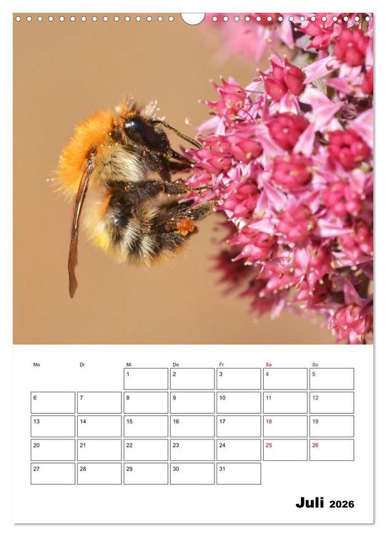 Produktbild: Hummeln und Bienen Terminplaner (Wandkalender 2026 DIN A3 hoch), CALVENDO Monatskalender