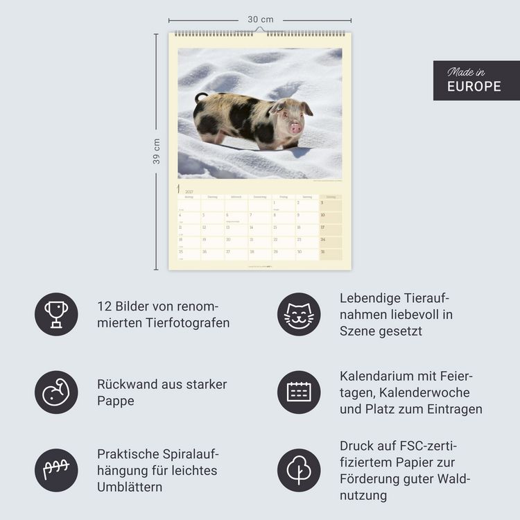 Produktbild: Schweinchen Kalender 2027