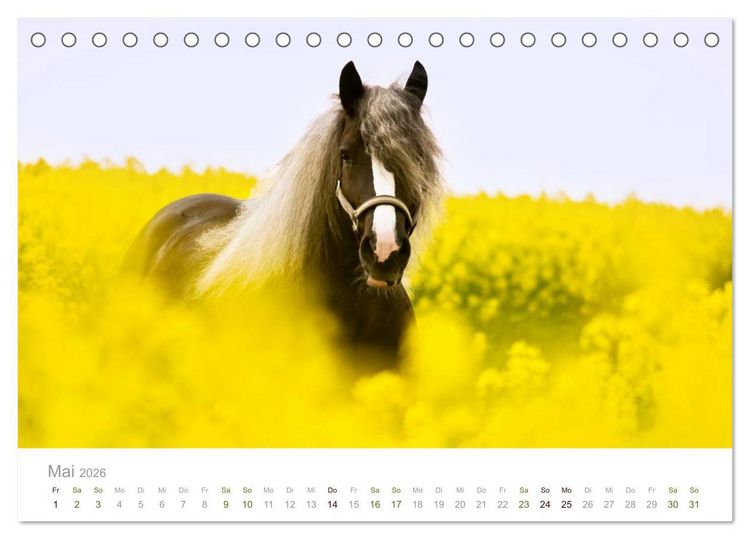 Produktbild: Faszination Schwarzw&auml;lder Kaltblut (Tischkalender 2026 DIN A5 quer), CALVENDO Monatskalender