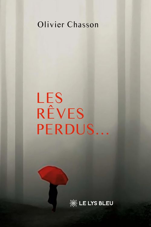 Produktbild: Les r&ecirc;ves perdus...