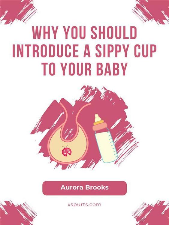 Produktbild: Why You Should Introduce a Sippy Cup to Your Baby