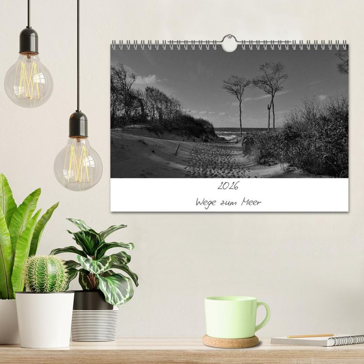 Produktbild: Wege zum Meer (Wandkalender 2026 DIN A4 quer), CALVENDO Monatskalender