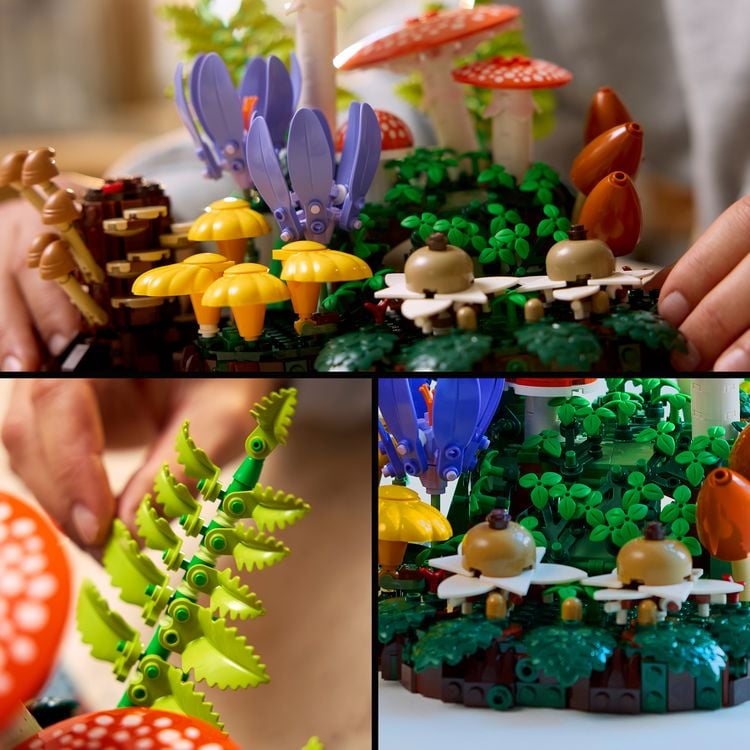 Produktbild: LEGO Botanicals 11505 Waldpilze, Modellbau f&uuml;r Erwachsene