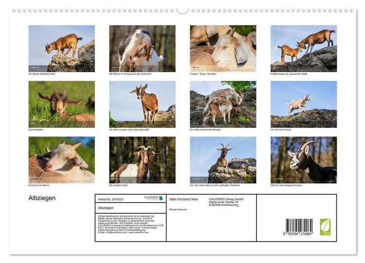 Produktbild: Albziegen (hochwertiger Premium Wandkalender 2027 DIN A2 quer), Kunstdruck in Hochglanz