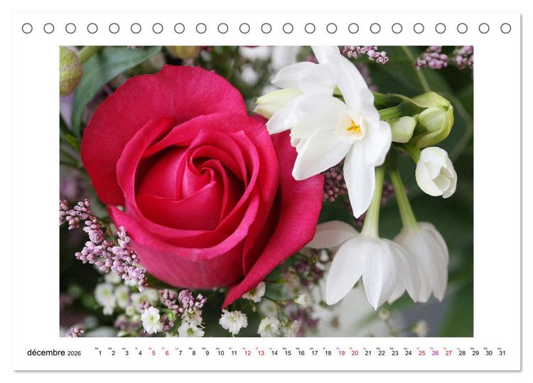 Produktbild: Fleurs - un m&eacute;lange color&eacute; (Calendrier de bureau 2026 DIN A5 vertical), CALVENDO calendrier mensuel