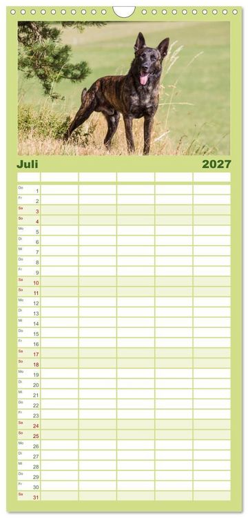 Produktbild: Familienplaner 2027 - ausdrucksvolle Holl&auml;ndische Sch&auml;ferhunde mit 5 Spalten (Wandkalender, 21 x 45 cm) CALVENDO