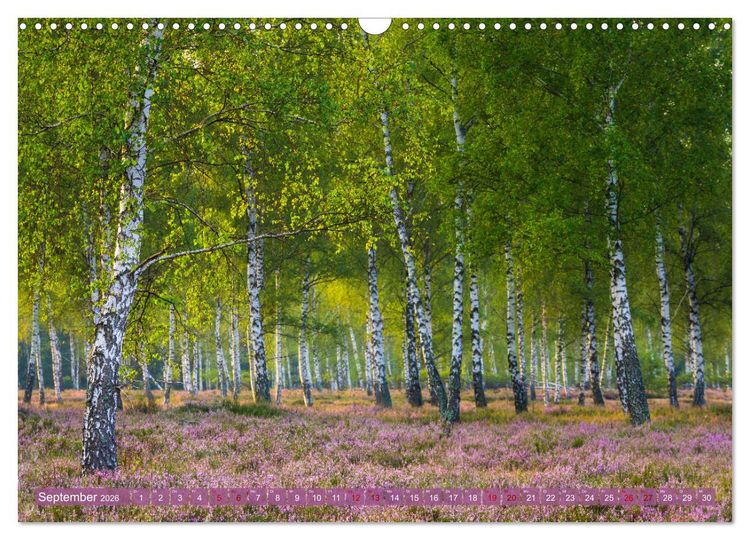 Produktbild: Romantische Heidebl&uuml;te (Wandkalender 2026 DIN A3 quer), CALVENDO Monatskalender