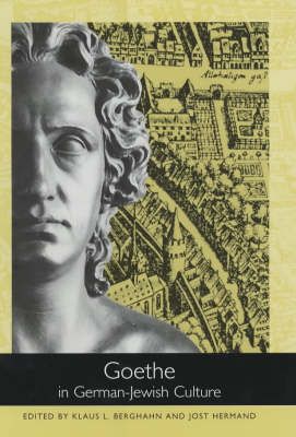 Produktbild: Goethe in German-Jewish Culture