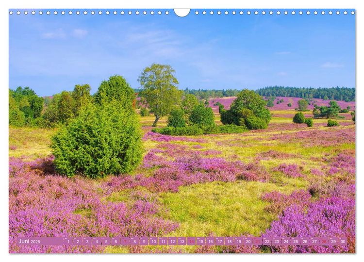 Produktbild: L&uuml;neburger Heide - Wanderung rund um Wilsede und Totengrund (Wandkalender 2026 DIN A3 quer), CALVENDO Monatskalender