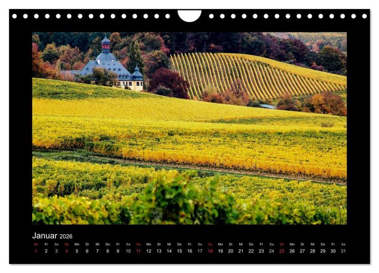 Produktbild: Wein - Reben, Wingerte und historische Weinkeller (Wandkalender 2026 DIN A4 quer), CALVENDO Monatskalender