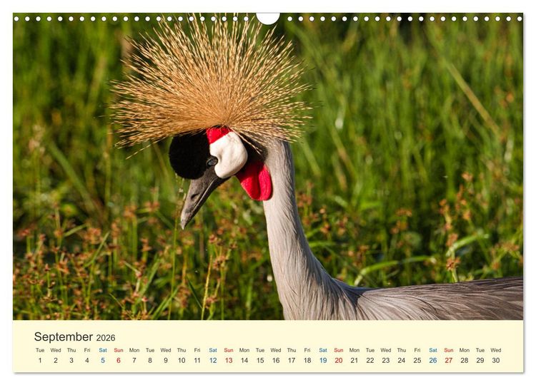 Produktbild: Wonderful Kenya (Wall Calendar 2026 DIN A3 landscape), CALVENDO 12 Month Wall Calendar