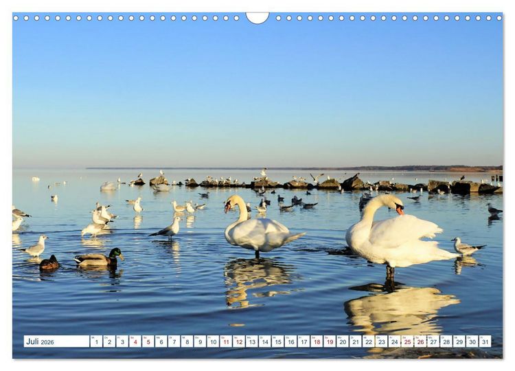 Produktbild: Seebad Ueckerm&uuml;nde (Wandkalender 2026 DIN A3 quer), CALVENDO Monatskalender