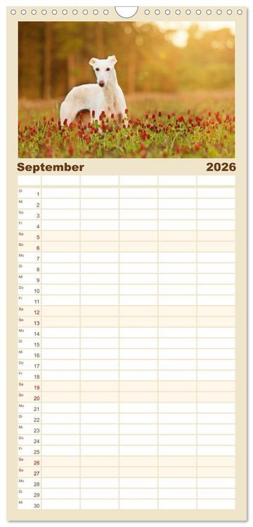 Produktbild: Familienplaner 2026 - Zauberhafte Windhunde mit 5 Spalten (Wandkalender, 21 x 45 cm) CALVENDO