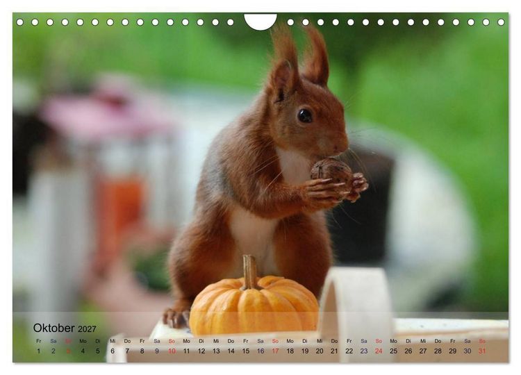 Produktbild: Spa&szlig; mit Eichh&ouml;rnchen! (Wandkalender 2027 DIN A4 quer), CALVENDO Monatskalender
