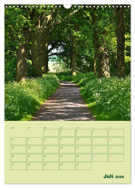Produktbild: Wald- und Wiesenkalender 2026 Planer (Wandkalender 2026 DIN A3 hoch), CALVENDO Monatskalender