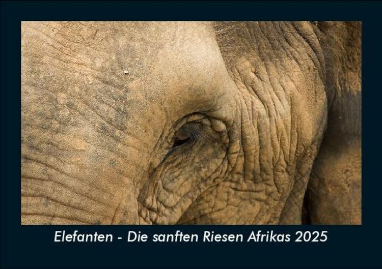 Produktbild: Elefanten - Die sanften Riesen Afrikas 2025 Fotokalender DIN A5