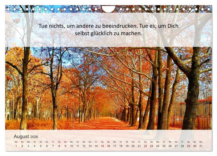 Produktbild: Motivationsspr&uuml;che Erfolgsweg (Wandkalender 2026 DIN A4 quer), CALVENDO Monatskalender