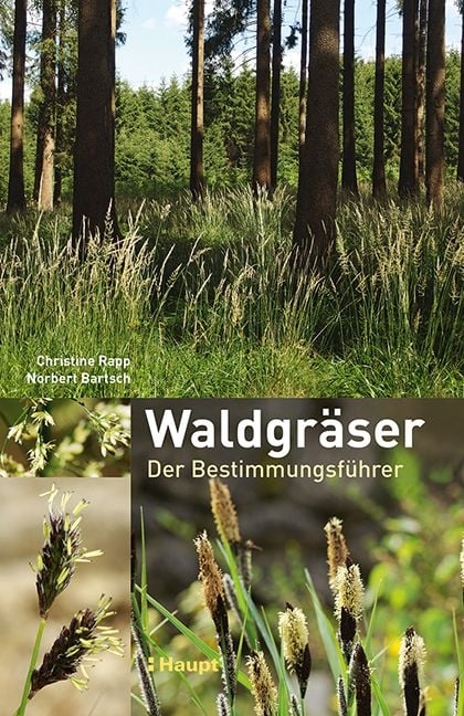 Produktbild: Waldgr&auml;ser
