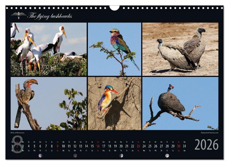 Produktbild: Botswana Blickwinkel 2026 (Wandkalender 2026 DIN A3 quer), CALVENDO Monatskalender