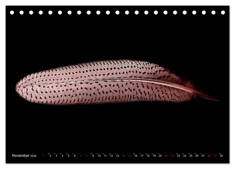 Produktbild: Federleichte Momente (Tischkalender 2026 DIN A5 quer), CALVENDO Monatskalender