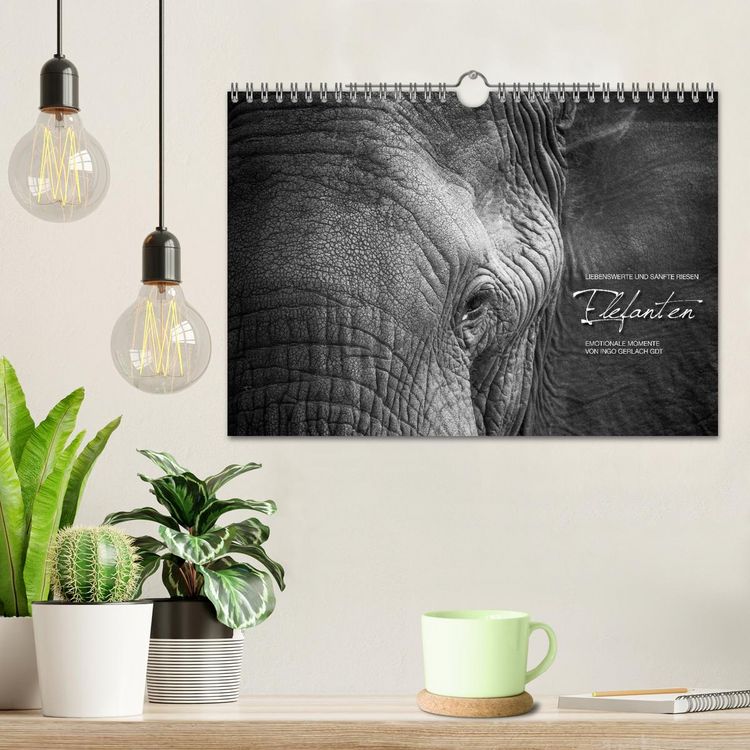 Produktbild: Emotionale Momente: Elefanten in black & white (Wandkalender 2026 DIN A4 quer), CALVENDO Monatskalender