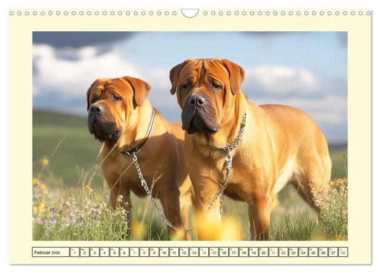 Produktbild: Der Tosa Inu. Japans legend&auml;rer Mastiff (Wandkalender 2026 DIN A3 quer), CALVENDO Monatskalender
