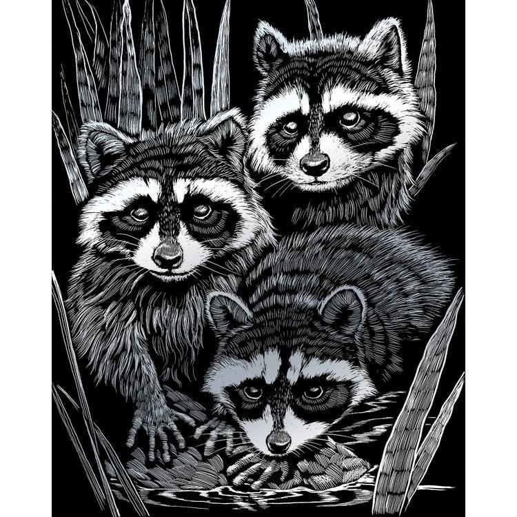 Produktbild: PRACHT Kratzbild Waschb&auml;ren silber 20x25cm