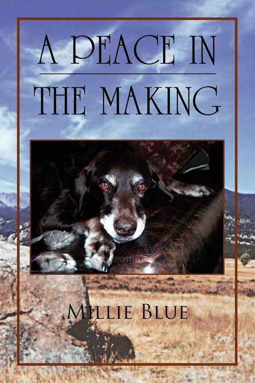 Produktbild: A Peace in the Making