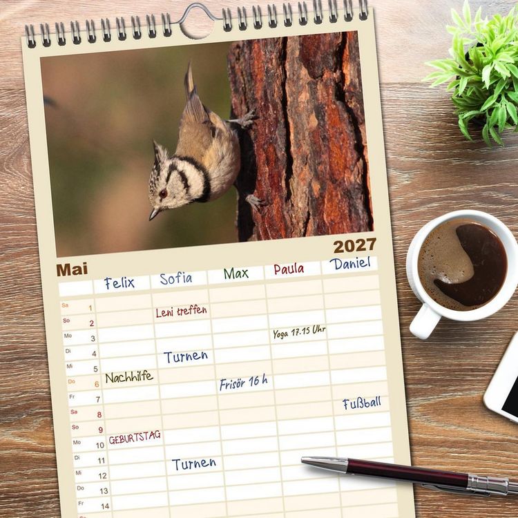Produktbild: Familienplaner 2027 - V&ouml;gel ganz nah mit 5 Spalten (Wandkalender, 21 x 45 cm) CALVENDO