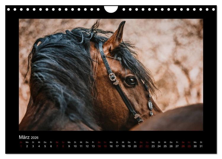 Produktbild: Die Faszinierende Welt der Pferde (Wandkalender 2026 DIN A4 quer), CALVENDO Monatskalender