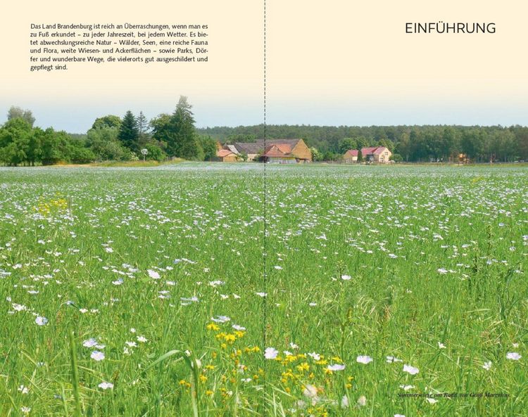 Produktbild: TRESCHER Reisef&uuml;hrer Brandenburg - Tagestouren