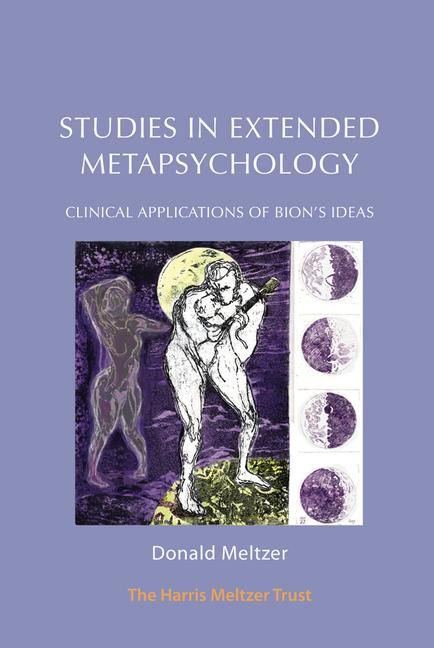 Produktbild: Studies in Extended Metapsychology