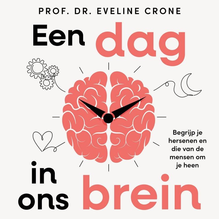 Produktbild: Een dag in ons brein