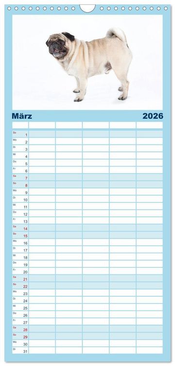 Produktbild: Familienplaner 2026 - Mops - unwiderstehlich und charmant mit 5 Spalten (Wandkalender, 21 x 45 cm) CALVENDO