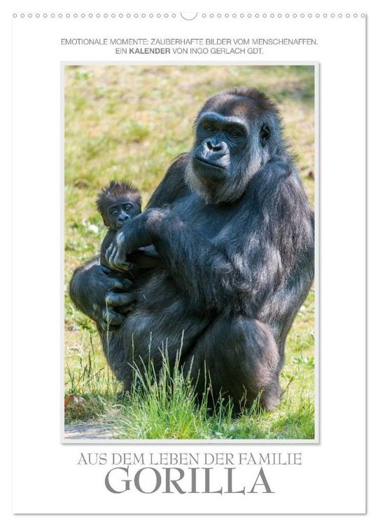Produktbild: Emotionale Momente: Aus dem Leben der Familie Gorilla. (Wandkalender 2026 DIN A2 hoch), CALVENDO Monatskalender