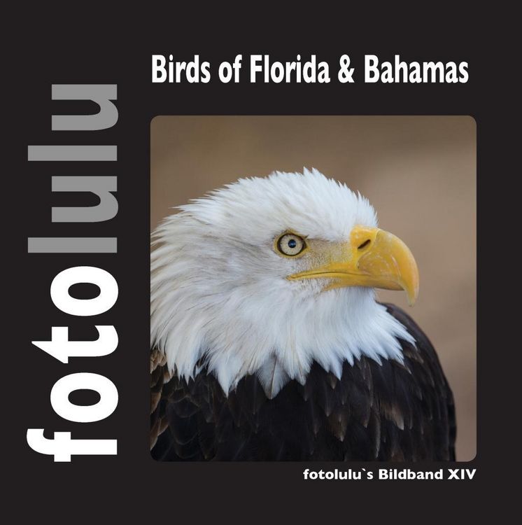 Produktbild: Birds of Florida & Bahamas