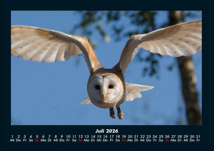 Produktbild: Welt der V&ouml;gel 2026 Fotokalender DIN A4