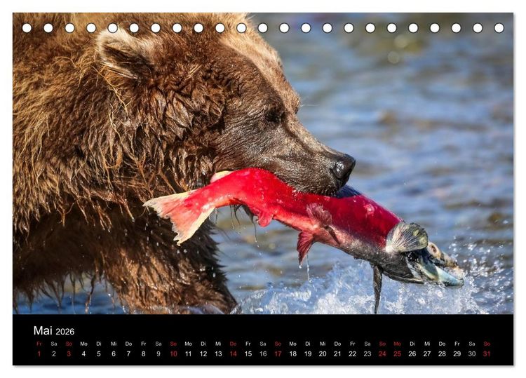 Produktbild: Alaska 2026 Wildes Land am Ende der Welt (Tischkalender 2026 DIN A5 quer), CALVENDO Monatskalender