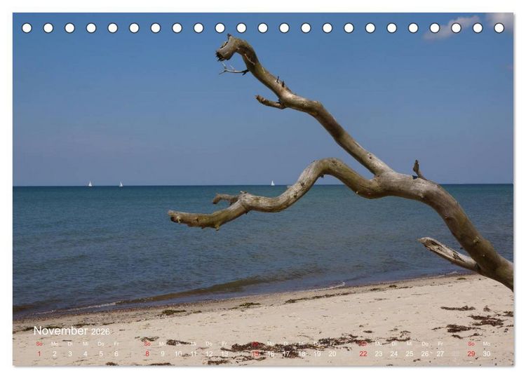 Produktbild: Anblicke und Ausblicke auf Fischland Dar&szlig; (Tischkalender 2026 DIN A5 quer), CALVENDO Monatskalender