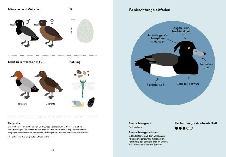 Produktbild: Ornithorama