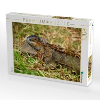 Produktbild: CALVENDO Puzzle Gr&uuml;ner Leguan | 1000 Teile Lege-Gr&ouml;&szlig;e 64x48cm Foto-Puzzle f&uuml;r gl&uuml;ckliche Stunden