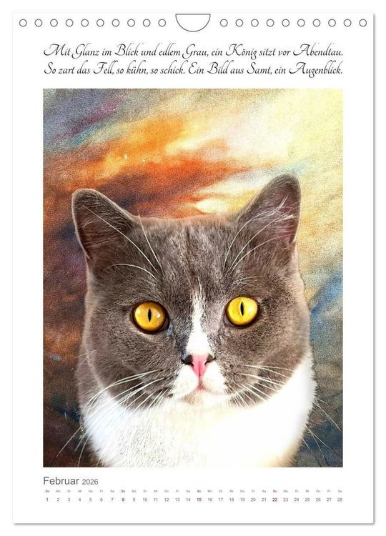 Produktbild: Katzenlyrik - Zw&ouml;lf Seelen auf Samtpfoten in Wort und Bild (Wandkalender 2026 DIN A4 hoch), CALVENDO Monatskalender
