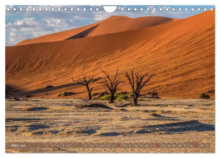 Produktbild: Afrikas B&auml;ume (Wandkalender 2026 DIN A4 quer), CALVENDO Monatskalender
