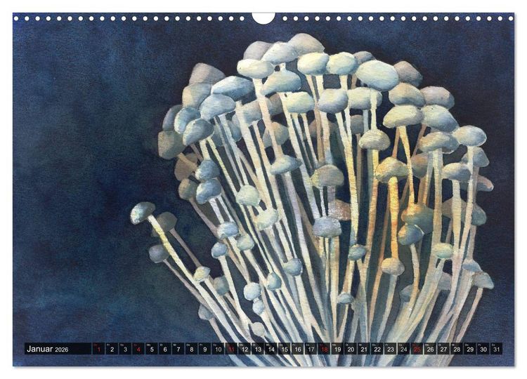 Produktbild: Pilze in Aquarell (Wandkalender 2026 DIN A3 quer), CALVENDO Monatskalender
