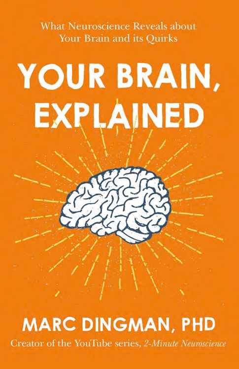 Produktbild: Your Brain, Explained