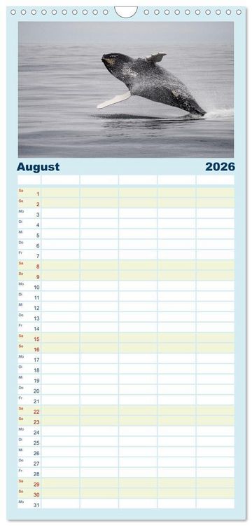 Produktbild: Familienplaner 2026 - Die Wale von Andenes mit 5 Spalten (Wandkalender, 21 x 45 cm) CALVENDO