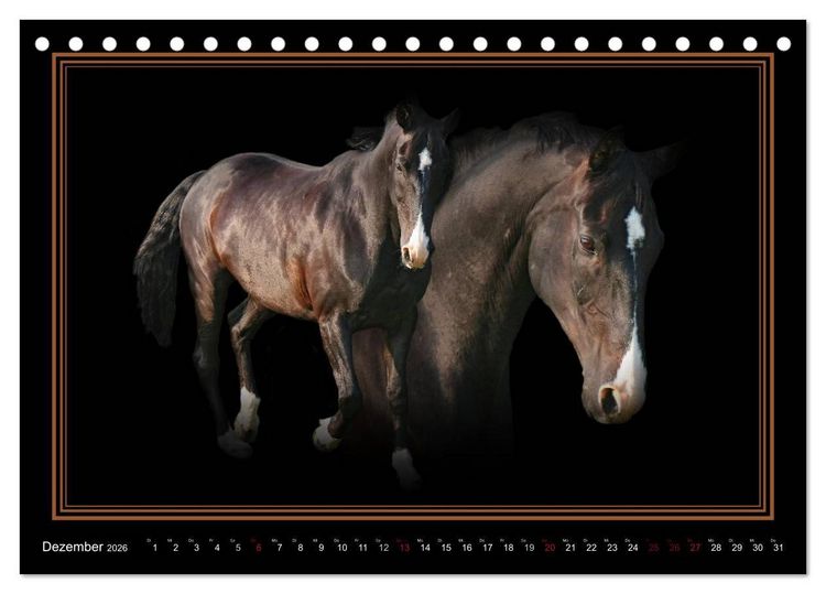 Produktbild: Traumpferde-ART-Collection (Tischkalender 2026 DIN A5 quer), CALVENDO Monatskalender