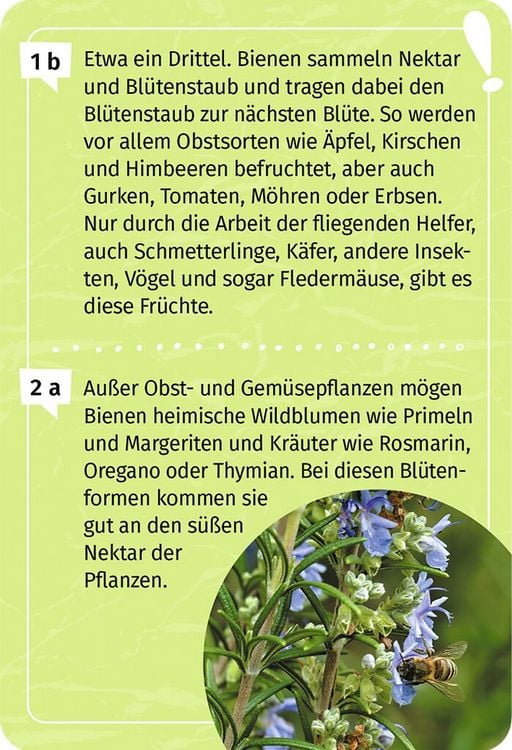 Produktbild: Mein Garten-Forscherquiz