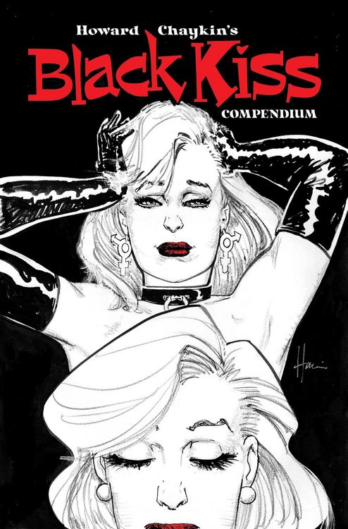 Produktbild: Black Kiss Omnibus