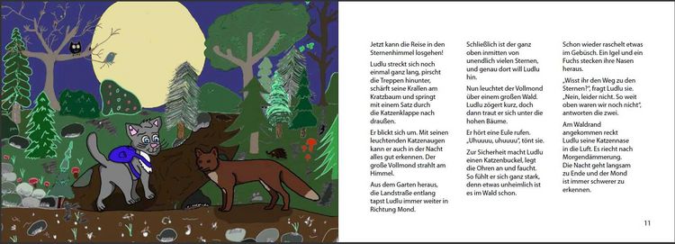 Produktbild: Trotzdem gro&szlig;er Bruder - Katerkind Ludlu besucht sein Sternengeschwisterchen
